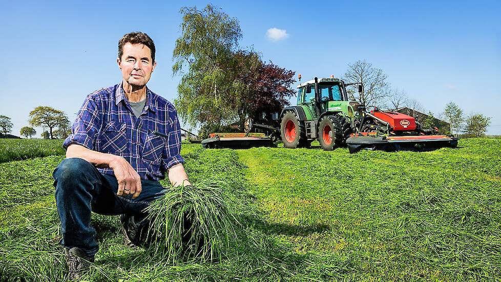 Limagrain Productief Blijvend Grasland Een Kwestie Van Geduld