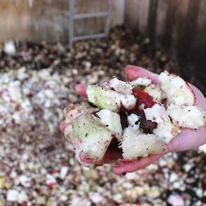 Verse gesnipperde bieten zijn super smakelijk en bevatten 1.050 tot 1.200 VEM/kg ds.