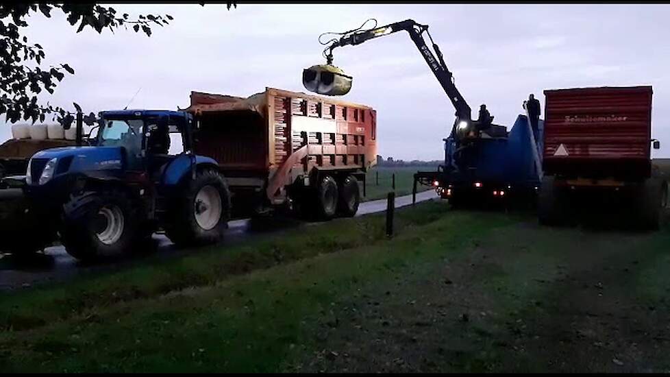 Gehakselde maïs overladen op schone wagens