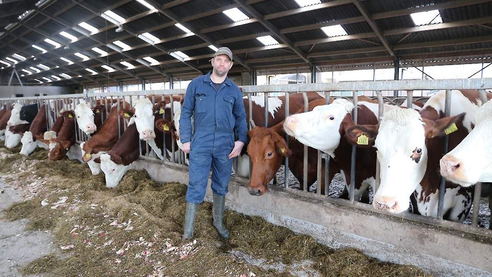 Om niet afhankelijk te zijn van de loonwerker, om maximale groei te benutten en om de bewaring verliezen zoveel mogelijk te beperken, rooit Pieter zelf zijn bieten. De laatste bieten zijn pas op 21 januari gerooid. ‘Ze kunnen nergens beter staan dan in de