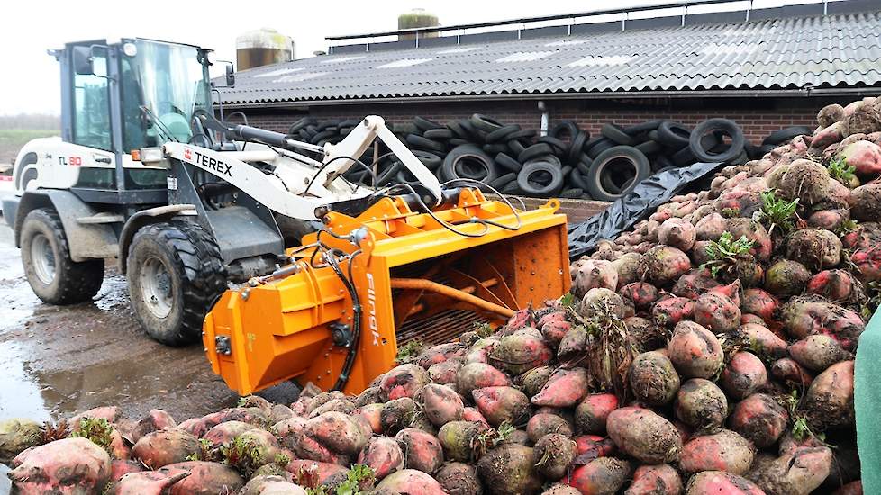 Pieter investeerde in een snipperbak. Onderweg naar de voergang worden de bieten getrommeld, waarna er mooie schone bietensnippers voor het voerhek komen. De tarra kan na het snipperen gelost worden.