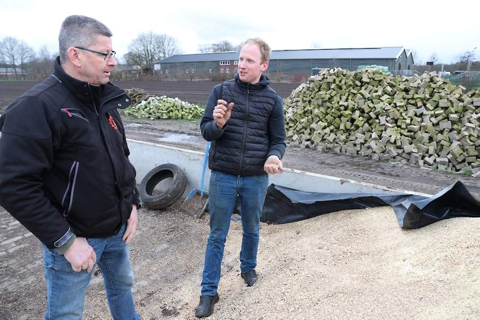 Gijs (rechts) samen met ruwvoerspecialist Antoon Verhoeven van LG bij de geplette veldboon-tarwe