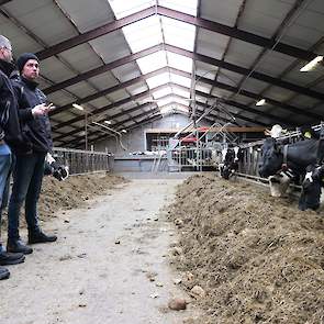 Door de hoge hectare-opbrengst heeft Rens voederbieten genoeg. Hij startte in september met 5 kg product bieten per dag, en bouwde dit snel op naar 15 kg.