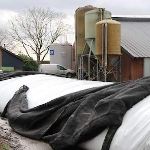 110 ton Rialto voederbieten is ingekuild samen met 22 ton soja hullen. Zo kan Rens ook na maart nog bieten voeren.