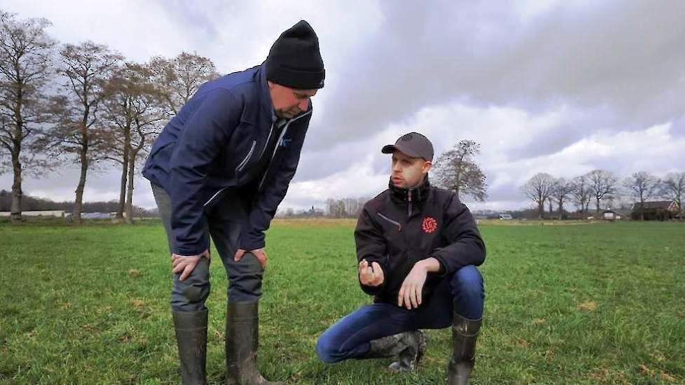 Ruwvoerspecialist Ludwig Oevermans staat veehouders en loonwerkers in Groningen, Overijssel, Drenthe en Gelderland jaarrond bij met praktisch advies omtrent de ruwvoerteelt. Regelmatig gaat hij met veehouders het grasland in.