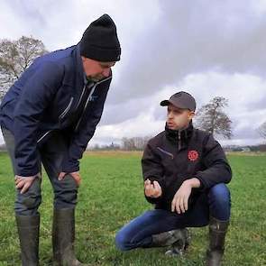 Ruwvoerspecialist Ludwig Oevermans staat veehouders en loonwerkers in Groningen, Overijssel, Drenthe en Gelderland jaarrond bij met praktisch advies omtrent de ruwvoerteelt. Regelmatig gaat hij met veehouders het grasland in.