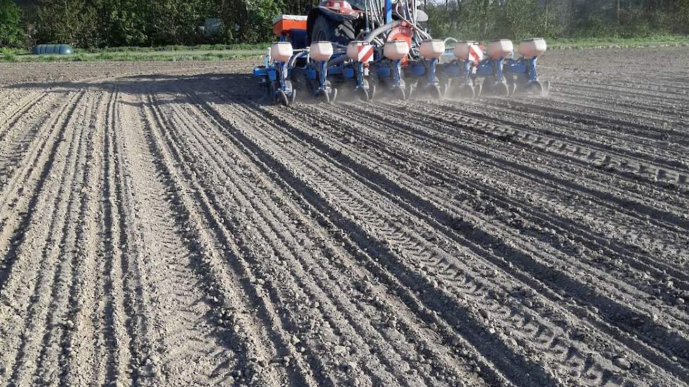 De eerste deelnemer die zaaide, 14 april in het Zeeuwse Kapelle op kleigrond, het zeer vroege ras LG 31.205.