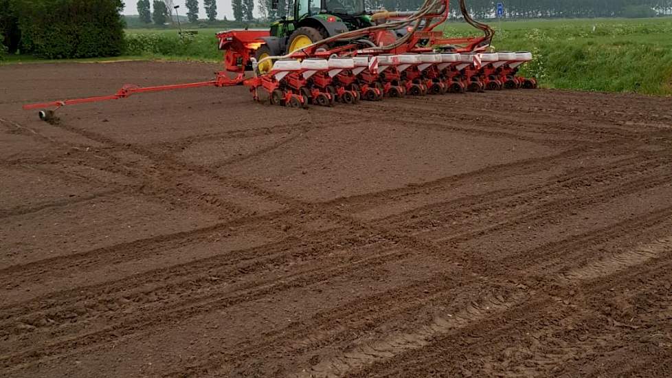 Op 29 april gaat de LG 31.214 de kleigrond in, in Biervliet. Na 4 mm regen de dag ervoor is de bovengrond vochtig, maar daaronder is het nog droog.