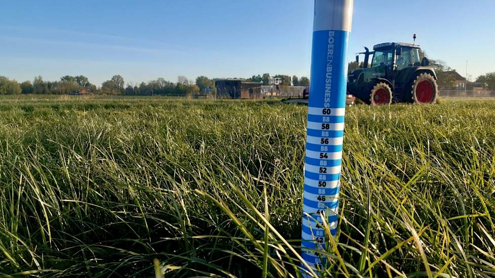 Een mooie eerste snede in Jelsum (FR). Dit perceel HAVERA 1 met klaver is afgelopen najaar na de aardappels ingezaaid en alleen met KAS bemest dit voorjaar