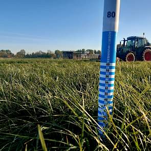 Een mooie eerste snede in Jelsum (FR). Dit perceel HAVERA 1 met klaver is afgelopen najaar na de aardappels ingezaaid en alleen met KAS bemest dit voorjaar