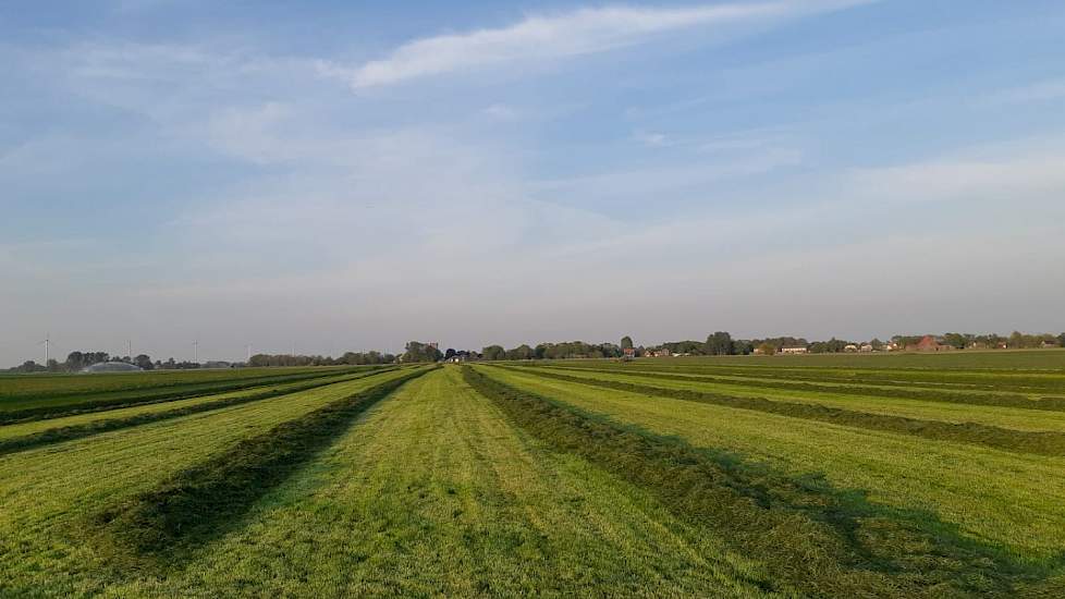 De veehouder is tevreden over de graskwaliteit. Wel is er schade door ganzen en smienten, en op sommige plaatsen door de natte winter