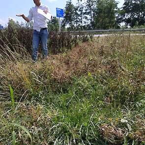 Graserwten is een combinatie die al wat langer toegepast wordt in de melkveehouderij. Eind juli kan er zo’n 10 tot 11 ton droge stof geoogst en als gps ingekuild worden. Het gras dient als voedingsbodem (suikers) voor de conservering. „Dat gaat eigenlijk