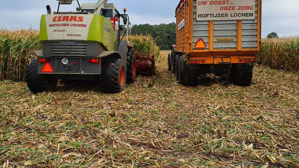 De kolven worden geplukt met een speciale maïsbek. Volgens Albert en Henk Esselink is dit beter dan hoger hakselen. Deze machine verhakseld namelijk de plant waardoor deze goed is onder te ploegen. „Bij hoger hakselen vind je de stoppel het jaar erop weer