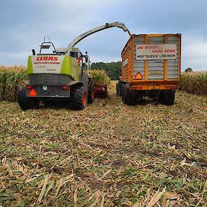 De kolven worden geplukt met een speciale maïsbek. Volgens Albert en Henk Esselink is dit beter dan hoger hakselen. Deze machine verhakseld namelijk de plant waardoor deze goed is onder te ploegen. „Bij hoger hakselen vind je de stoppel het jaar erop weer