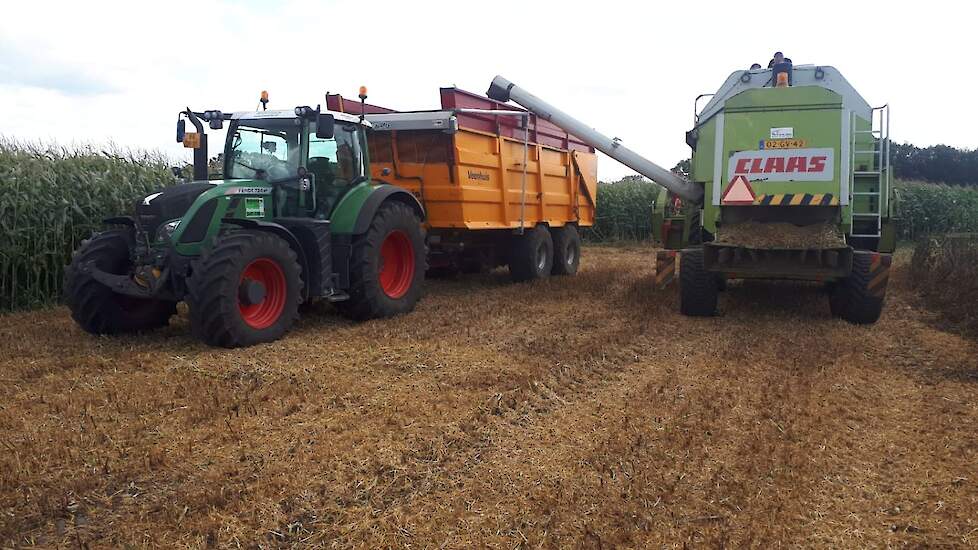 Deze melkveehouder uit Riethoven teelde voor het eerste jaar en liet op 22 augustus zijn mengteelt zomerveldboon – zomertarwe dorsen, malen en kuilde deze in voor zijn melkvee.