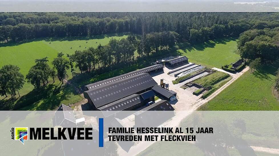 Familie Hesselink al 15 jaar tevreden met Fleckvieh