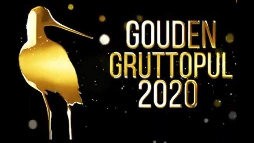 GOUDEN GRUTTOPUL 1