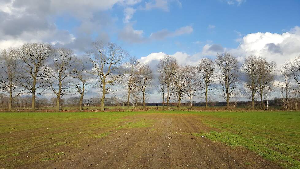 Sinds 2019 zijn grote kale plekken in nieuw gezaaid grasland een veel voorkomend beeld.