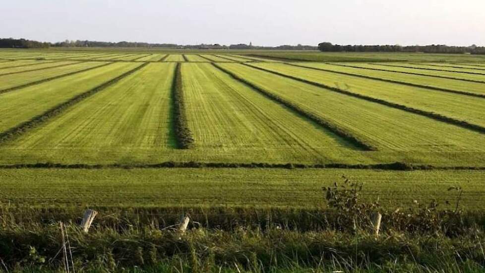 En op 14 september snede nummer 5, ondanks de droge en hete maand augustus nog een mooie opbrengst.