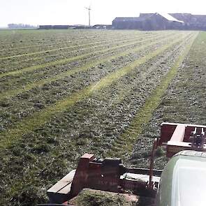 6 november wordt snede nummer 6 gemaaid, zodat het gras mooi kort de winter in gaat.