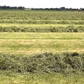 Een dag later in de rug, zodat het gras niet te droog werd.