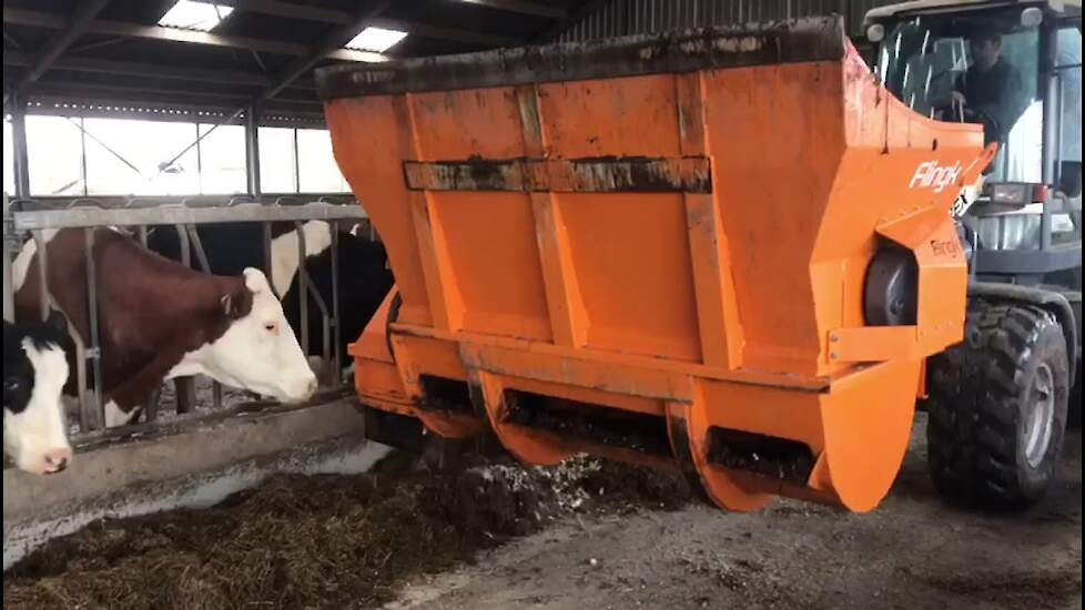 Rialto voederbieten voeren bij melkveebedrijf Teurlings Udenhout