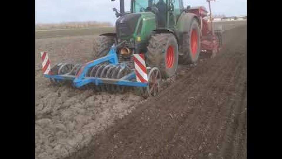 Melkveehouder Joris Buijs teelt al jaren zijn eigen krachtvoer. Hij heeft goede ervaring met de mengteelt veldboon-tarwe, die zorgt voor een hoge opbrengst en goede onkruidonderdrukking.