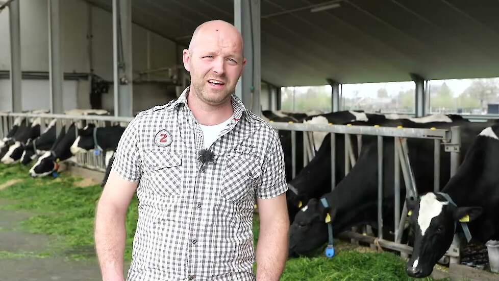 Van Middelaar combineert intensief zomerstal voeren met weiden.