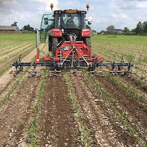 Het automatisch bijsturen gaat via het side-shift stuurframe. Dit is een haudraulisch systeem. Zo wordt de schoffelmachine onafhankelijk van de tractorbeweging tussen de rijen gestuurd.