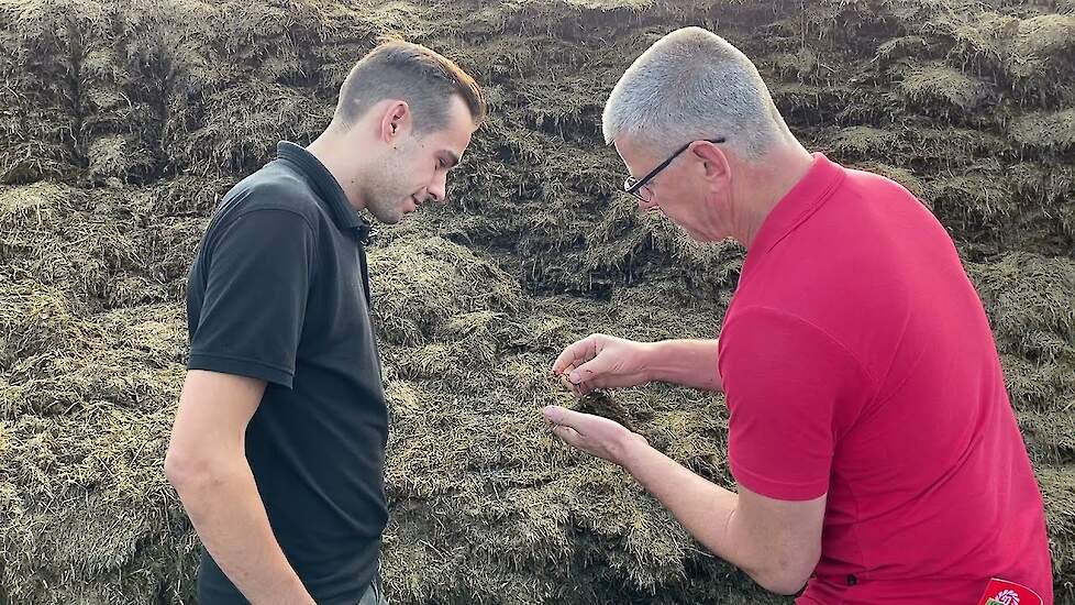 De ruwvoer-strategie van: Melkveehouder Lars Buiks in Rucphen | LG Seeds