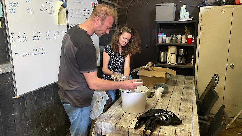 Melkveehouder Omgo Nieweg uit Adorp, deelnemer aan de pilot, met Janneke van der Velde van Collectief Groningen West.