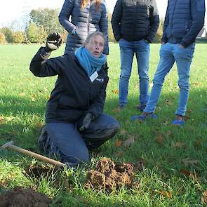 Aan de hand van een profielkuil kijkt Zwijnenburg samen met de veehouders naar de beworteling van het grasland. De deelnemers merken op dat ondanks een goede bodemstructuur alle wortels bovenin de bouwvoor zitten.