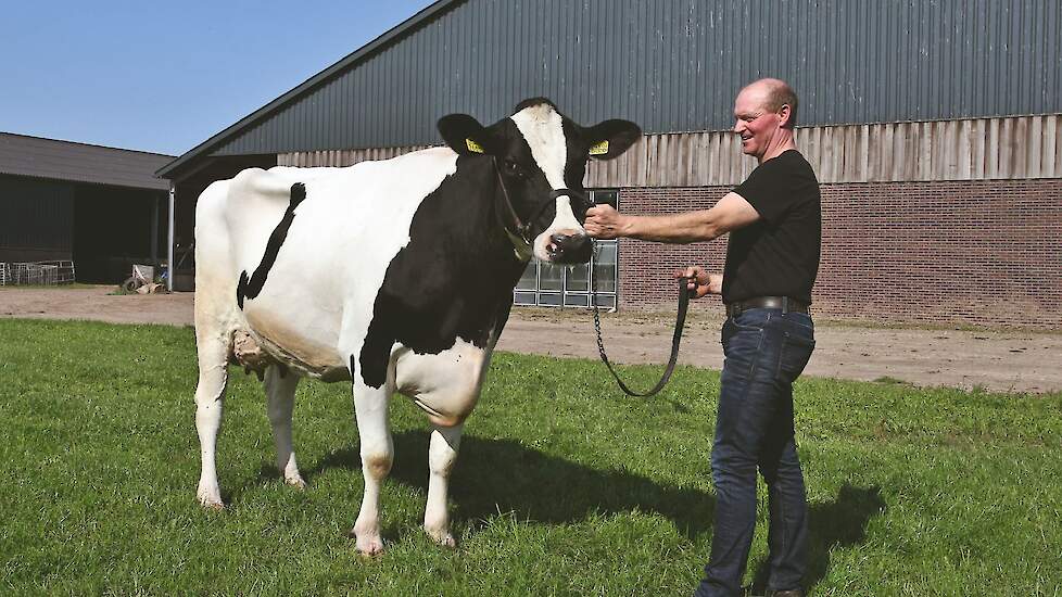 Ricky 31 is de volle zus van Ranger en gaf als vaars 10.685 kg melk met 4,85% vet en 4,04% eiwit (305 dagen, LW 126).