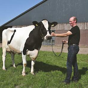 Ricky 31 is de volle zus van Ranger en gaf als vaars 10.685 kg melk met 4,85% vet en 4,04% eiwit (305 dagen, LW 126).