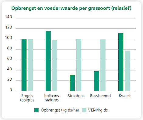 Opbrengst en voederwaarde per grassoort (relatief)