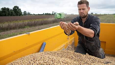 Limagrain › Krachtvoerkosten Drukken Met Eigen Teelt | Melkvee.nl ...