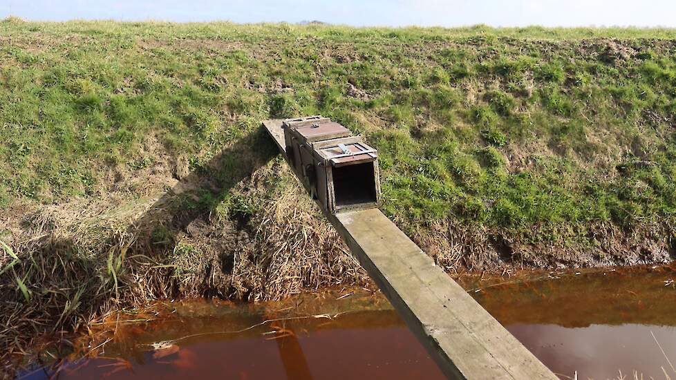 Nog een kastval met doorloop. Deze val is zo geplaatst dat wanneer een predator naar de overkant wil, hij wel door de val heen moet lopen.