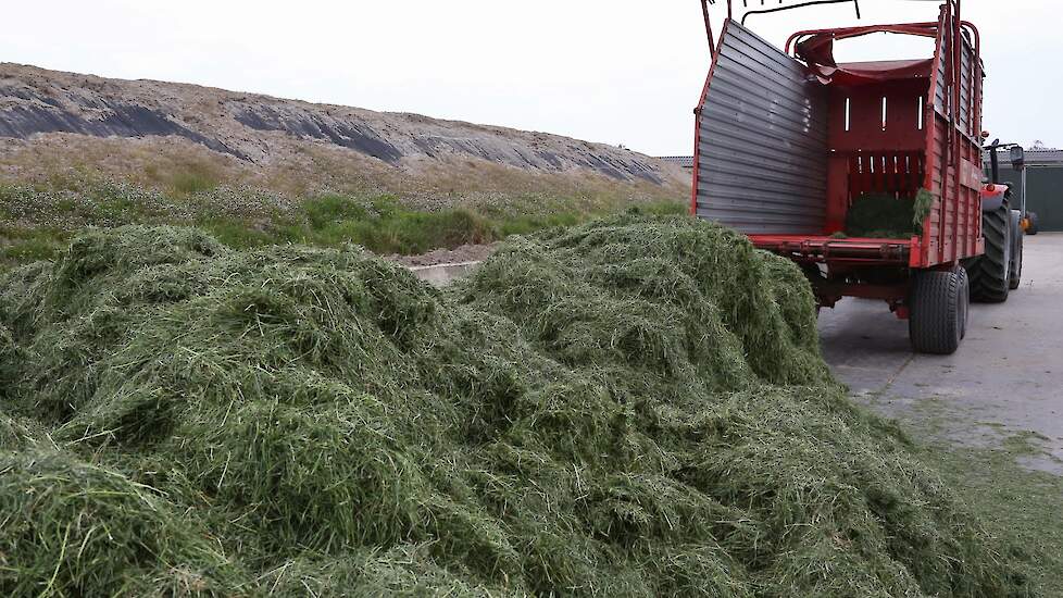 Het melkveebedrijf staat net binnen de bebouwde kom van Vinkel.