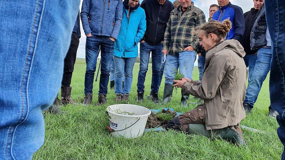 De boeren luisteren aandachtig naar wat Onrust allemaal vertelt.