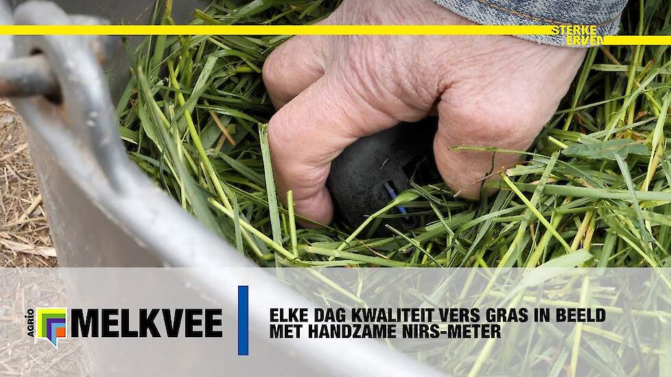 Elke dag kwaliteit vers gras in beeld met handzame NIRS-meter