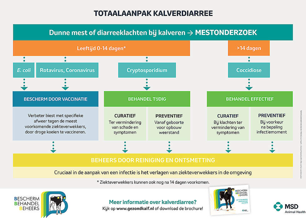 Totaalaanpak kalverdiarree