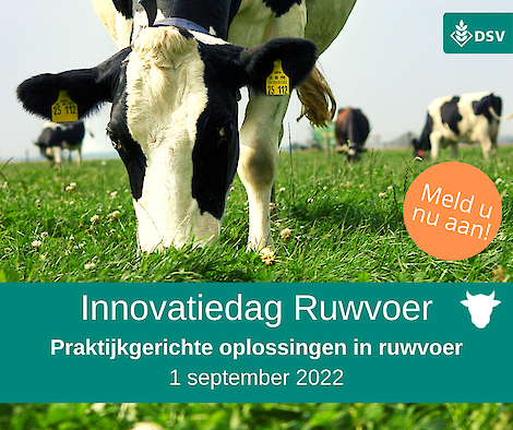 DSV innovatiedag ruwvoer