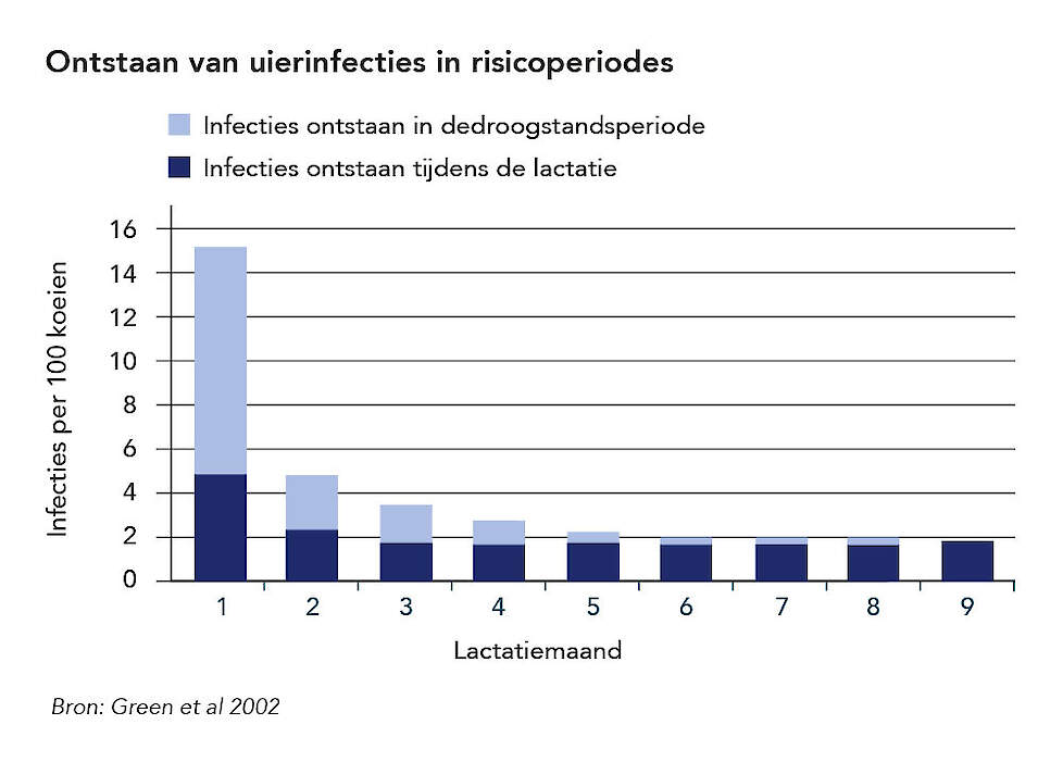 Figuur 1. Onstaan uierinfectie in risicoperiode