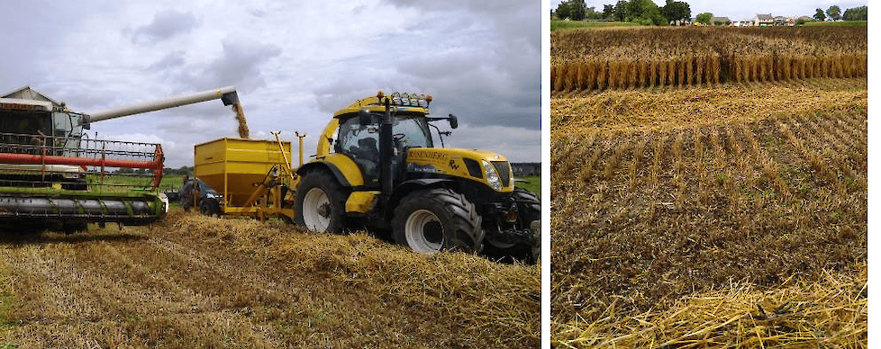 Mengteelt van Tundra winterveldboon met wintertarwe, met een hectare-opbrengst van 7,6 ton. Mengteelt geeft extra opbrengstzekerheid, zeker op drogere gronden, en onkruidonderdrukking.