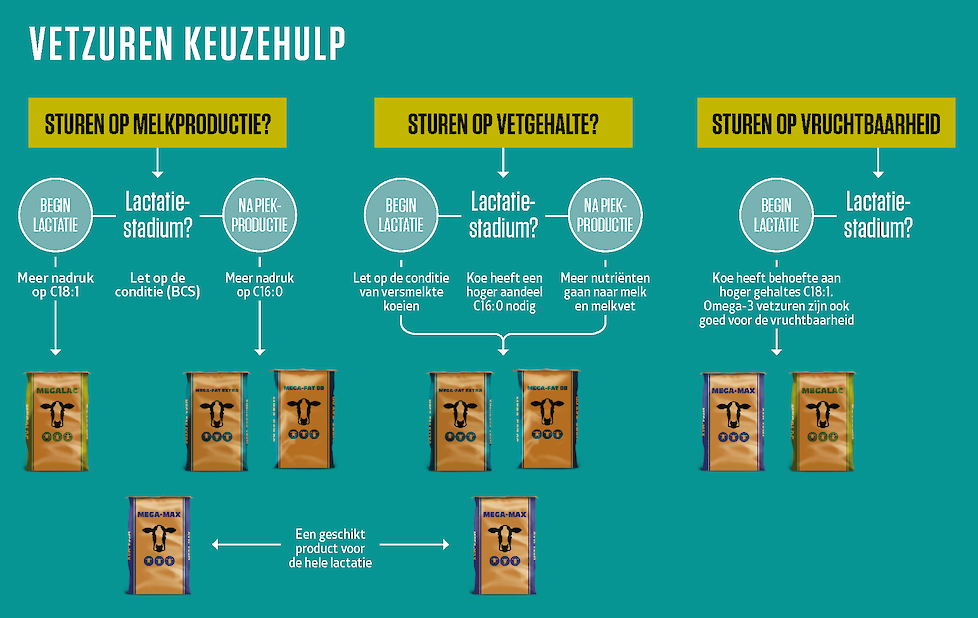 keuzehulp pensbestendige vetten voeren