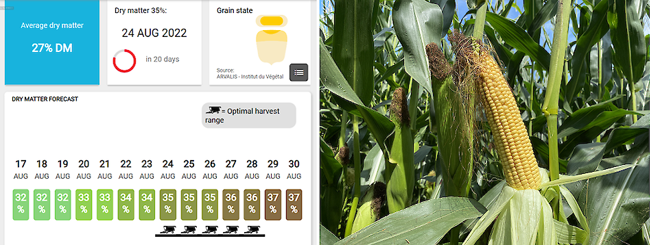 Afbeelding: Agrility voorspelt dat dit perceel LG 31.206 in Zuid-Limburg al vroeg oogstrijp is.