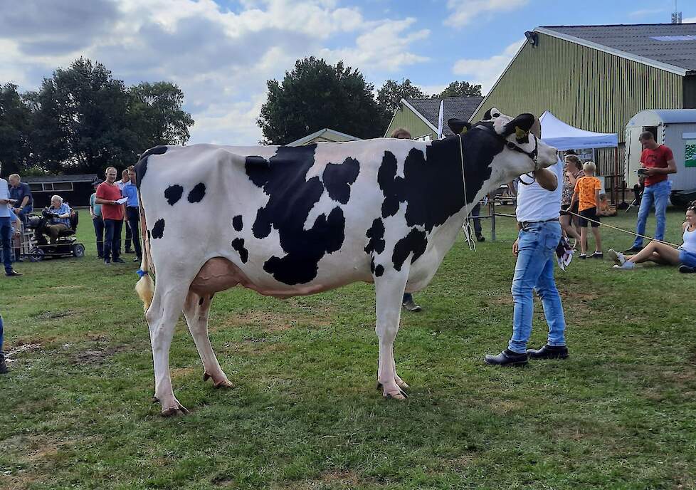 Truus 1136 was in de vorm van haar leven en won de middenklasse en het algemeen kampioenschap