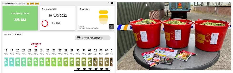 De voorspelling van Agrility – dit perceel LG 31.205 in Midden-Nederland zal eind augustus oogstrijp zijn (links). Het LG Lab wordt door heel Nederland al volop ingezet om de gehaltes van de mais te bepalen.