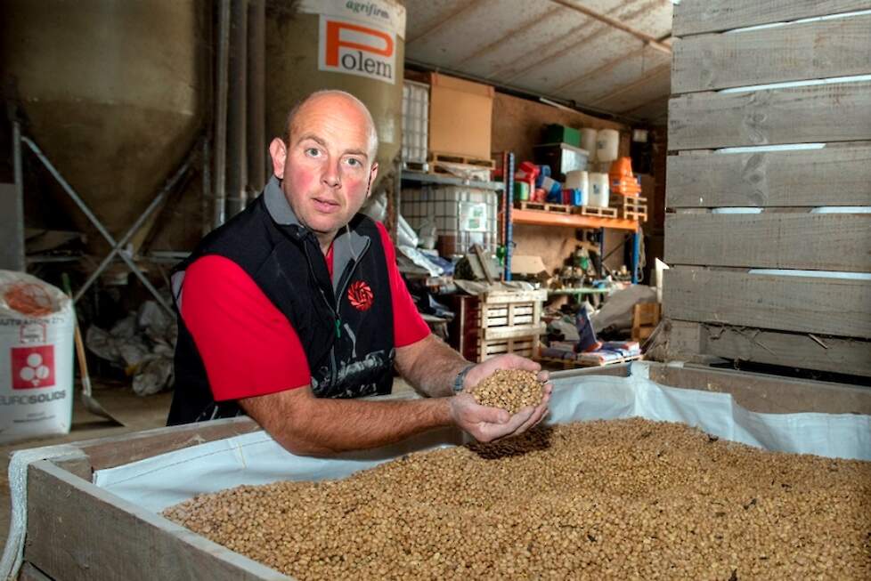 Sander bij zijn veldbonen van oogst 2022, opgeslagen in big bags in kisten.