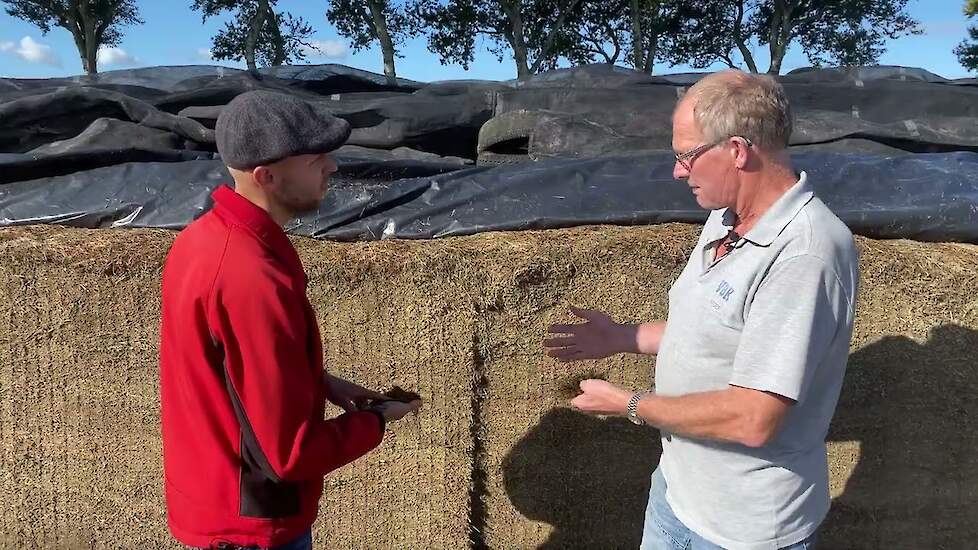 'De koeien vonden het duidelijk lekkerder' | Melkveehouder Kroon over zijn graslandbeheer | LG Seeds